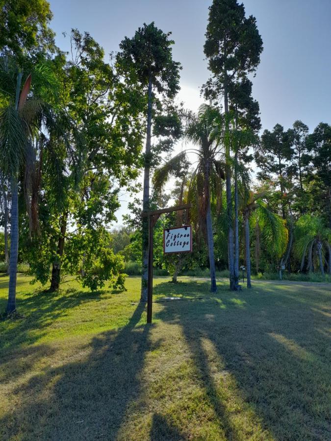 Figtree Cottage - Homestay - Yeppoon Luaran gambar